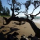 Ngarimu Bay